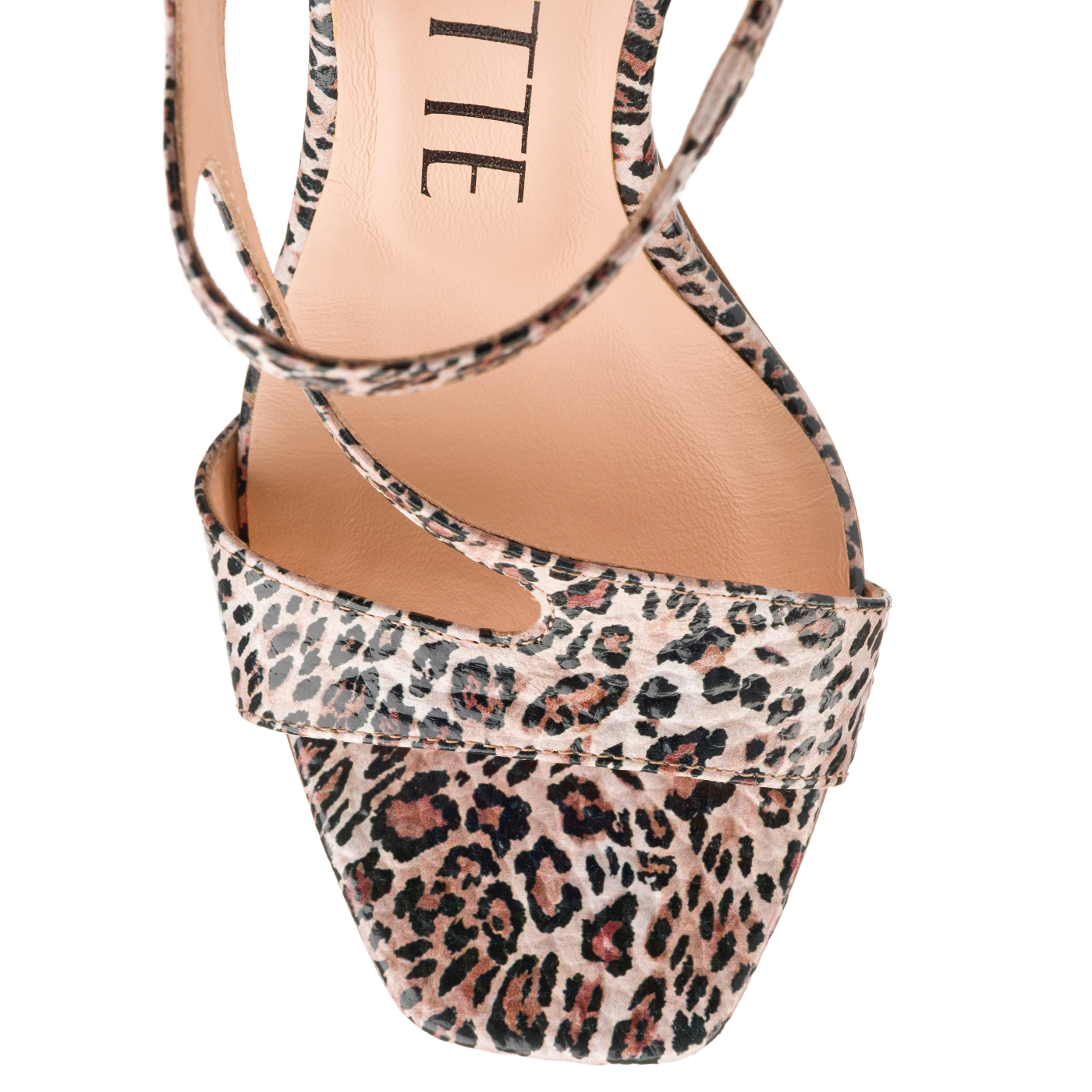 LEOPARDO A155