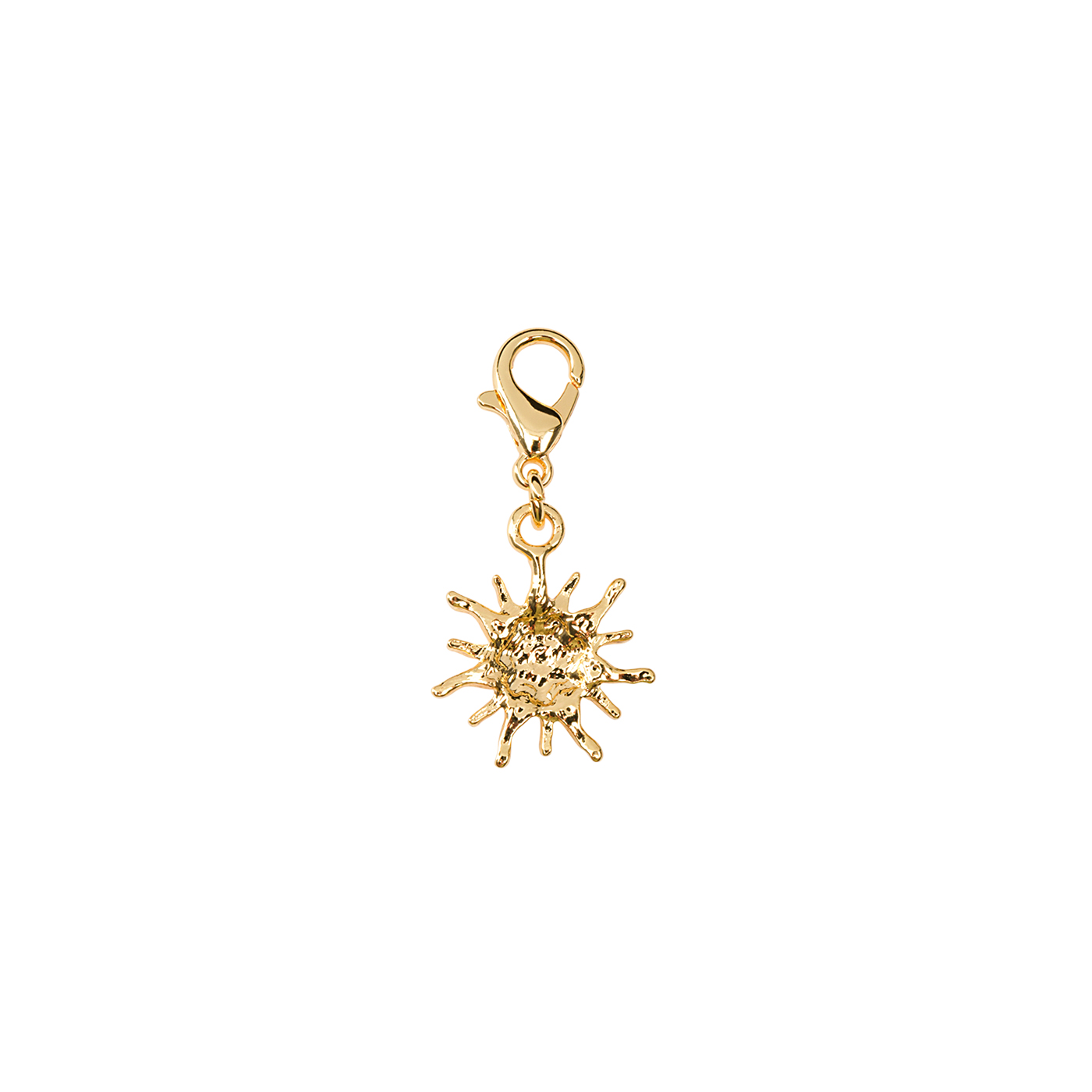 MCS CHARM 6