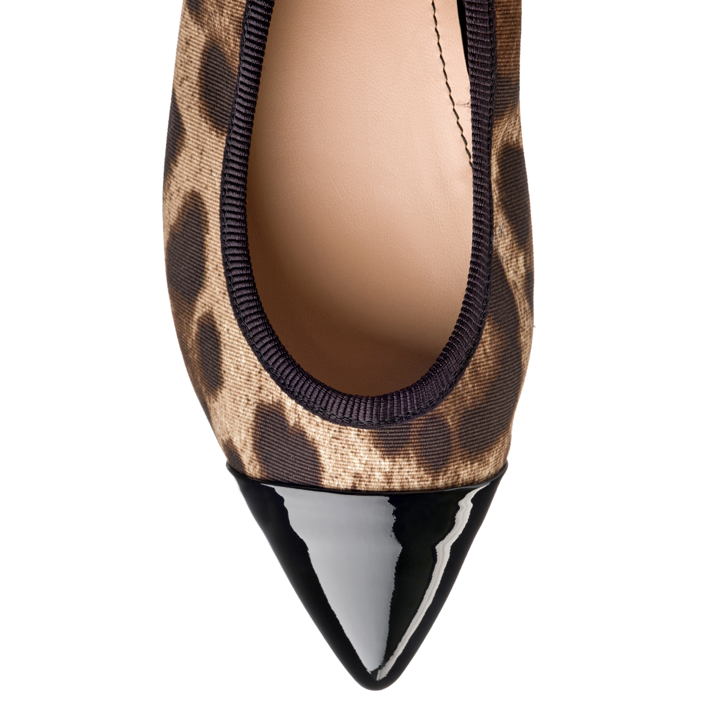 LEOPARDO A10