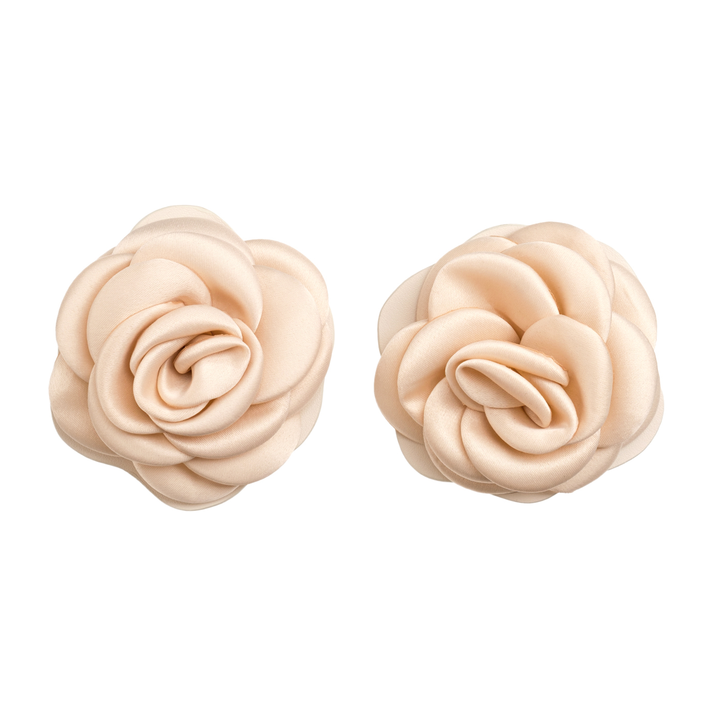 MCS SWEET ROSE