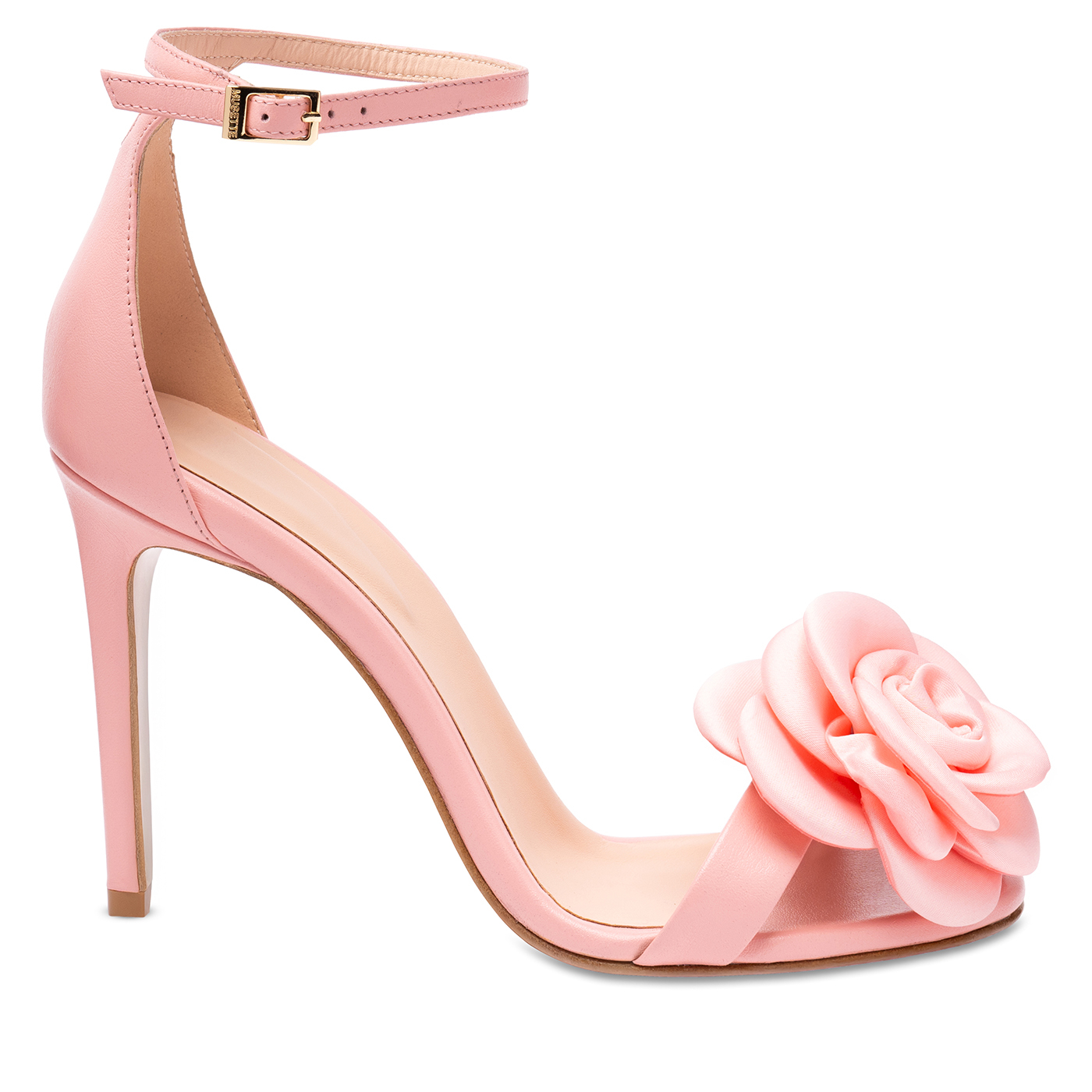 MCS SWEET ROSE
