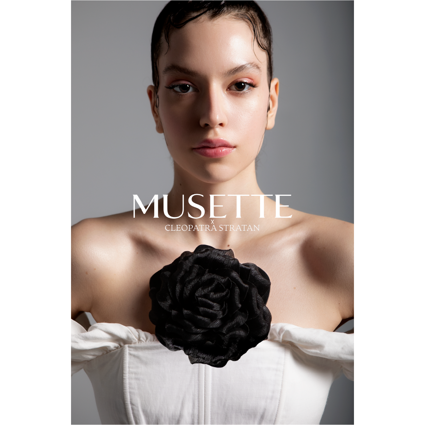 MCS SWEET ROSE