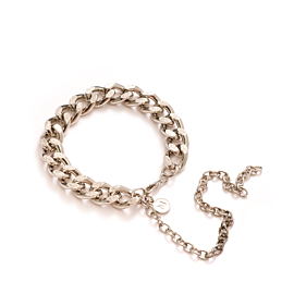 ACCESORIU PANTOF LANT ARIANA - argintiu